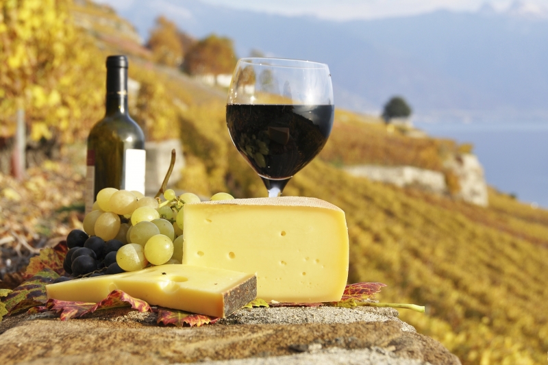 all-inclusive-french-wine-tour